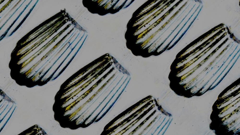 Memory Matters mementos of time and place Proctor & Matthews Architects